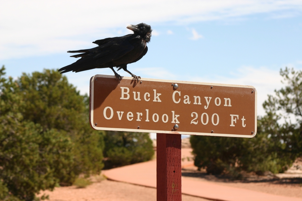 07 - Canyonland NP (4).JPG